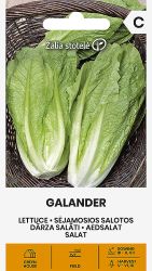 Lettuce Galander Seeds